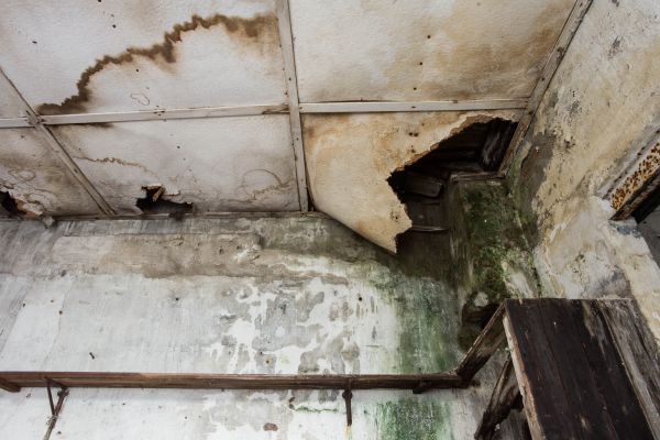 Cost of Water Damage Service in Mount Juliet