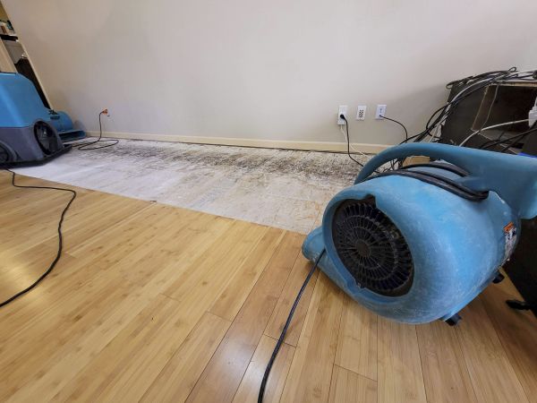Cost of Water Damage Mitigation in Mount Juliet
