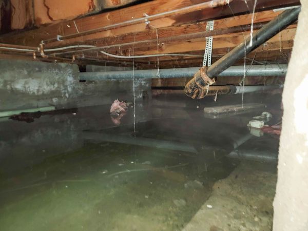 Cost of Water Mitigation Service in Mount Juliet