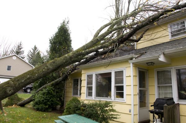 Hurricane Damage Repair in Mount Juliet