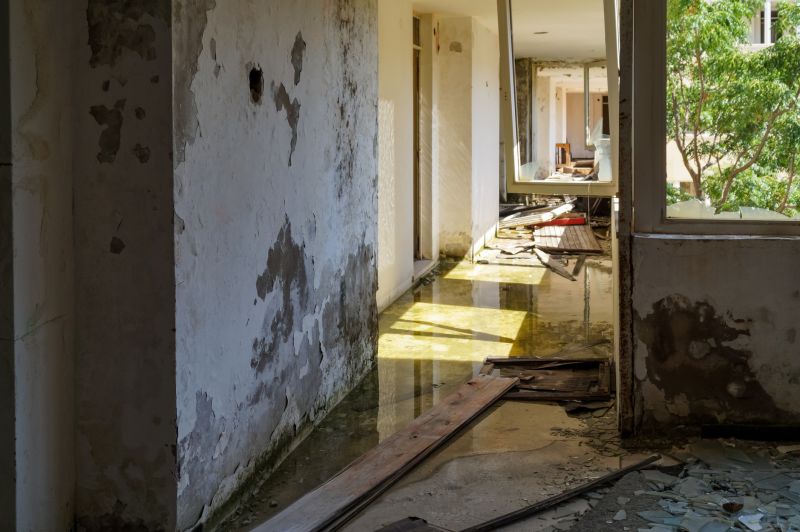 Storm Damage Cleanup detail