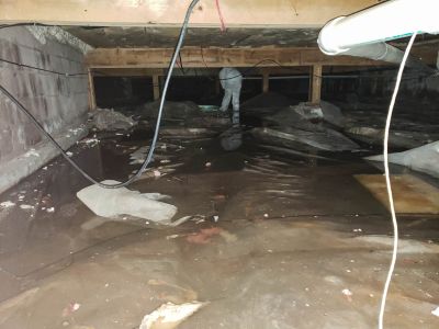 Storm Remediation