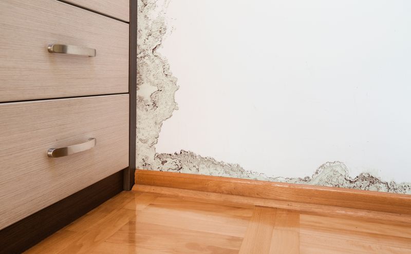 Water Damage Remediation