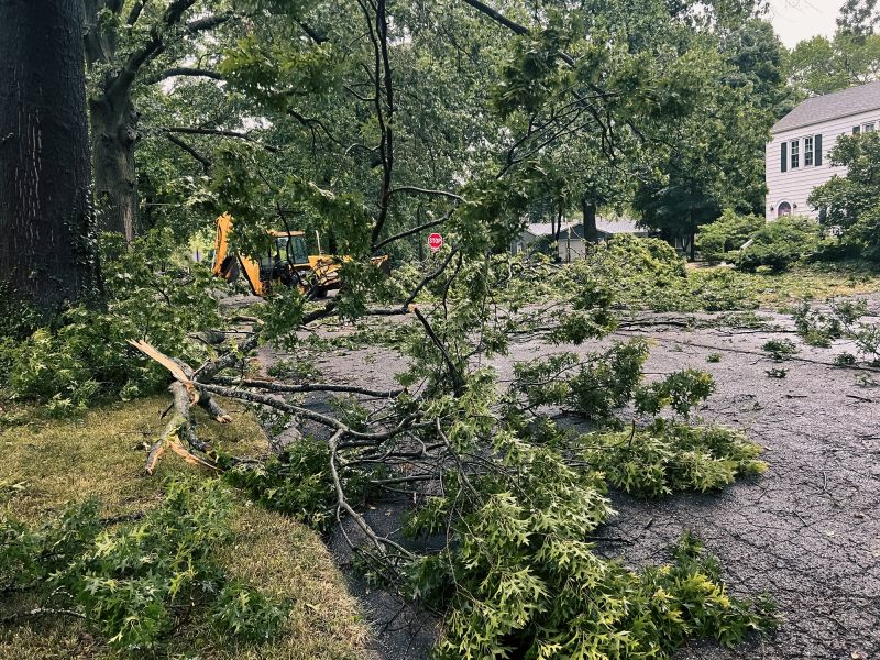 Cleanup and Debris Removal